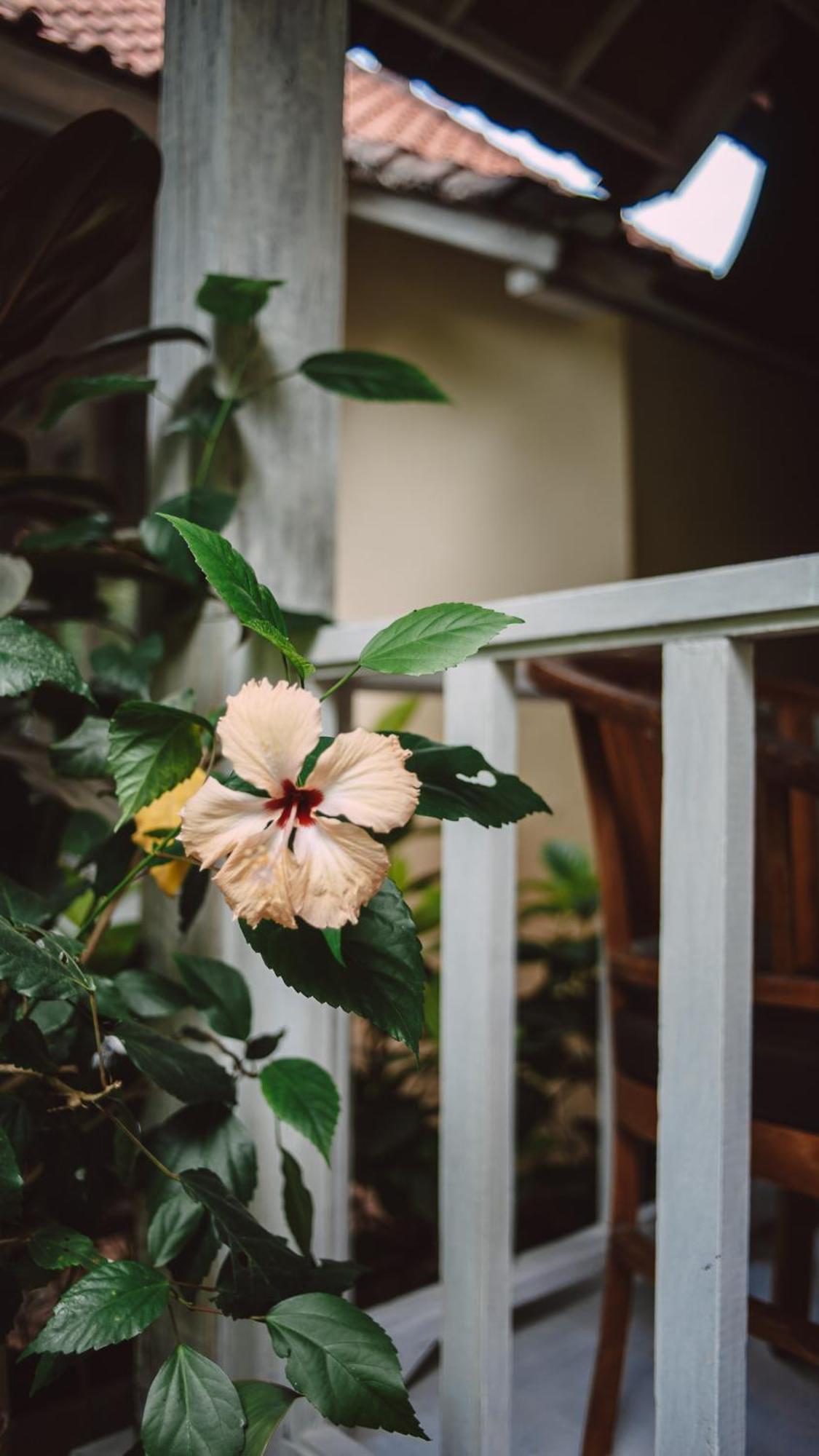 The Lucky Cottage نوسا ليمبونغان المظهر الخارجي الصورة